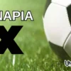Προγνωστικά Χινάρια 01/05/25