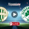 Φερεντσβάρος – Παναθηναϊκός Κανάλι – Live Streaming (22/01/26)